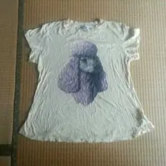 WILDFOX Tシャツのサムネイル