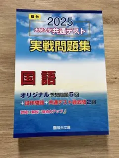 駿台 2025 大学入試共通テスト 実戦問題集 国語