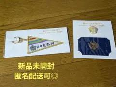 【新品未開封】嵐のワクワク学校2019 キーホルダー・ピンバッジ