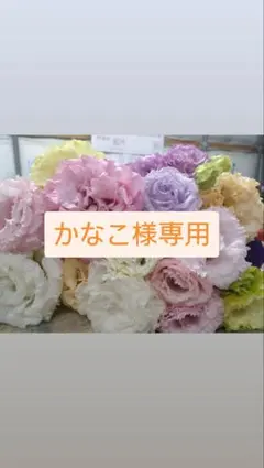 かなこ様専用　トルコギキョウ　リシアンサス　生花