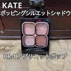 ケイト　ポッピングシルエットシャドウ　OR-1 アプリコットポップ
