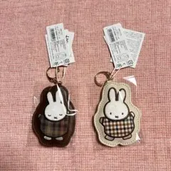 Item thumbnail for item d4a29561-0e04-4507-b07c-25e24f672106