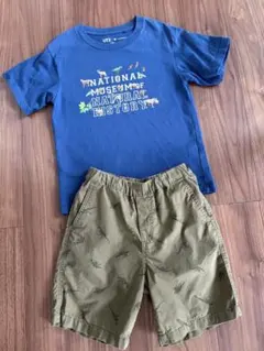 ユニクロUT スミソニアン博物館コラボ動物恐竜Tシャツパンツセット 120