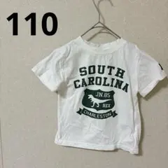 【110】恐竜 ダイナソー 英字 Tシャツ FEEL PERGE 白 緑