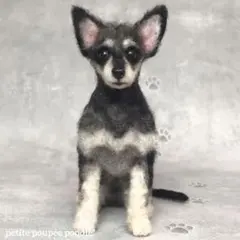 handmade 羊毛フェルト ☆トイマンチェスター✖️トイプードル　犬　オーダー
