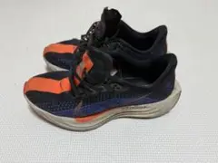 Nike ペガサスプラス 25cm