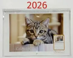 Item thumbnail for item d06d17bc-9cc5-402f-9e03-66072bf0bf90