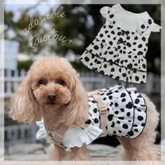 Item thumbnail for item d5199064-285a-4d19-b10e-2dbf0e27889d