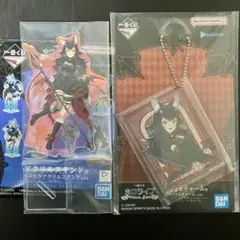 ホロライブ オーロラアクリルスタンド&アクリルチャーム 大神ミオ