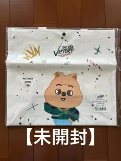 【未開封】Stray Kids ハンクォッカ VICTORYバッグ