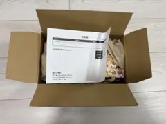 「未開封・シュリンク付」トウホクのピカチュウ