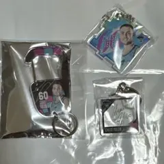 鹿島アントラーズ 優勝記念グッズ キーホルダー ×2 - メルカリ
