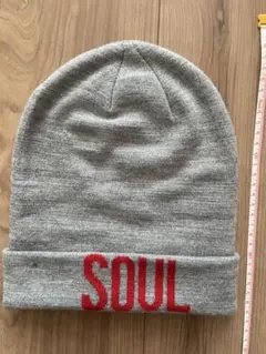 DIVIDED⭐︎H&M⭐︎グレー⭐︎ニット帽 SOUL