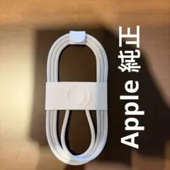 Apple 純正 充電ケーブル