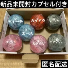 ワンピの実　未開封セット