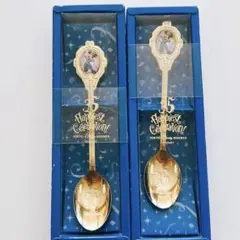 東京ディズニーリゾート 35周年記念 スプーン2本セット