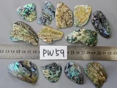 Item thumbnail for item 4a42fce3-0707-4212-8031-39140f6a0a6c