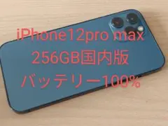 iPhone 12 Pro Max 256GB SIMフリー 国内版