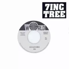 2026年最新】kid fresino レコードの人気アイテム - メルカリ