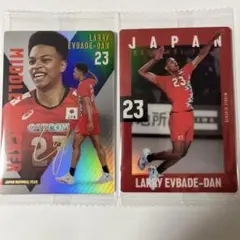 エバデダン ラリー選手 トレーディングカード
