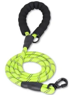 Item thumbnail for item da93cbc3-c6ef-469d-a052-54dbf35133b0