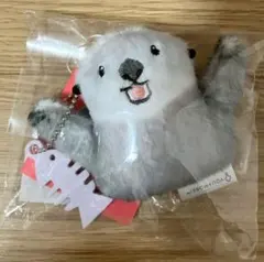 最終値下げ 廃盤 フリッカ まつもと きゅうてぃ☆ふぁ〜む うさぎ