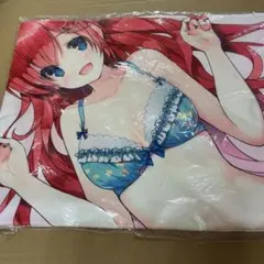 C108 畑健二郎 はじめまして。 ハヤテのごとく！ 水蓮寺ルカ抱き枕