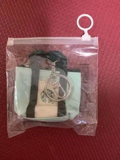 スターバックス　韓国限定コインケース、小物入れ