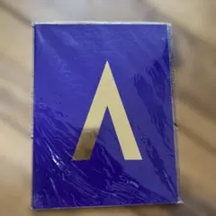 嵐 ARASHI AROUND ASIA 2008 パンフレット 海外版