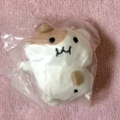 NCT DREAM チソン ぬいぐるみ ポケチ 10cm - メルカリ