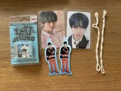 ISTJ nct dream チソン トレカ