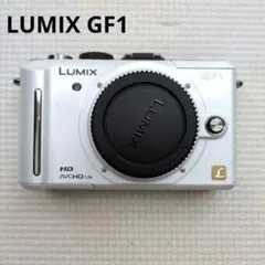 LUMIX GF1 ホワイト ミラーレスカメラ