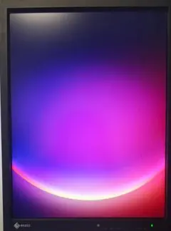 EIZO RadiForce MX215