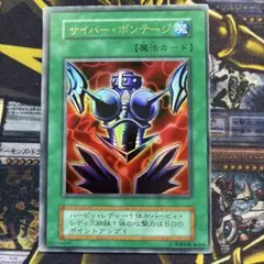 サイバーボンテージ