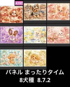 オーダーページ パネル ちわわ 6種 8.7.5 - メルカリ