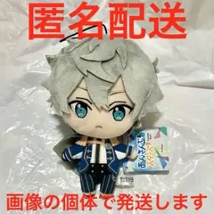 2025年最新】瀬名泉 ぬいぐるみ 新衣装の人気アイテム - メルカリ