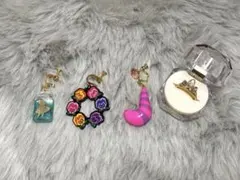 ディズニー　アリス　ラプンツェル　アクセサリーセット　イヤリング　リング　指輪