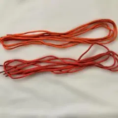 靴紐 2本セット