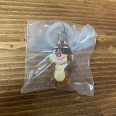 ディズニー　めじるしアクセサリー　Summer デール