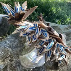 2025年最新】オオギバショウの人気アイテム - メルカリ