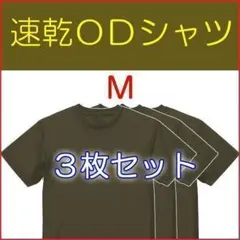 Ｔシャツ M ３枚 速乾 ＯＤ 　ＵＶカット　陸上自衛隊 の 迷彩服に