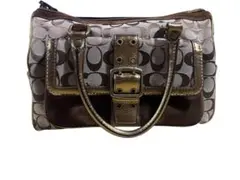 希少☆ COACH 70th ANNIVERSARYレオパード柄 ハラコ バッグ - メルカリ