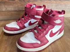Nike Air Jordan1 25.0 エアジョーダン1HI フライ イーズ