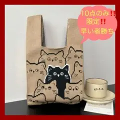 Item thumbnail for item cb086afd-b451-4f30-afbc-645f78c8576a