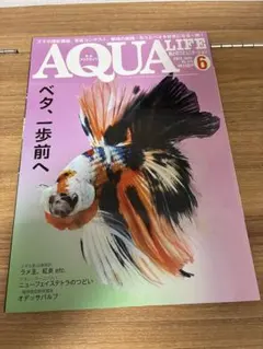 えりんぎ様 リクエスト 3点 まとめ商品