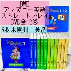 dwe ストレートプレイ 知育玩具