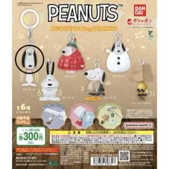 スヌーピー めじるしアクセサリー PEANUTS FUNNY ver. A