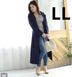 Item thumbnail for item 1250a2e0-9b94-43c9-8604-f0b1ef224e3c