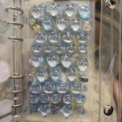 ハチワレ ボンボンドロップシール 正規品