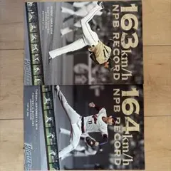 【非売品】大谷翔平　164km/h NPB record 証明書 大谷翔平選手 164㌔投球証明書 NPB記録 記念チラシ - メルカリ